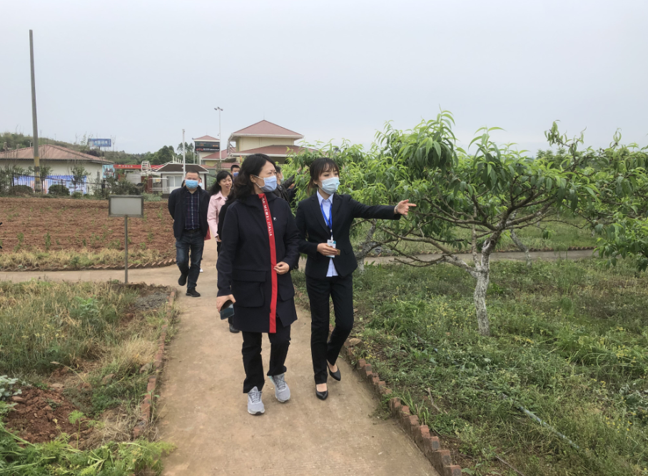 QQ截圖20200423150126.png QQ截圖20200423150126.png